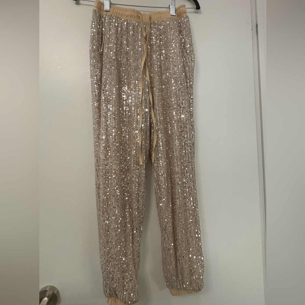 12th Tribe Sparkling Sequin pants